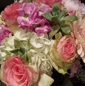 Meet your Posher, Lisa